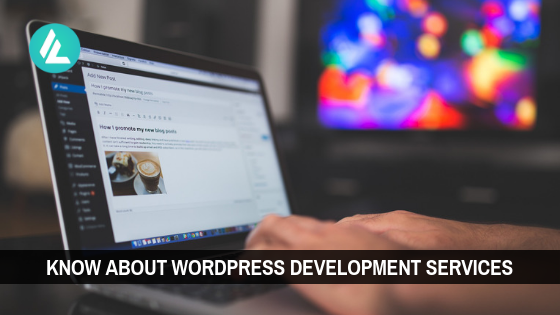 Everything You Wanted to Know About WordPress Development Services